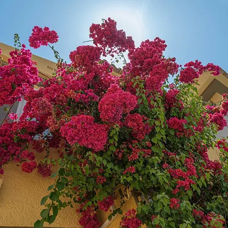 Wintowinrentals House With Private Pool In Rincon Apartment Rincon de la Victoria